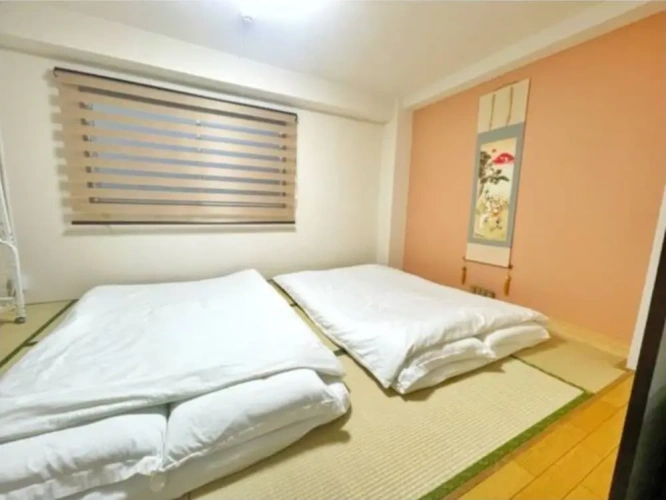 Double Apartment