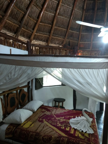 Green Tulum Hotel