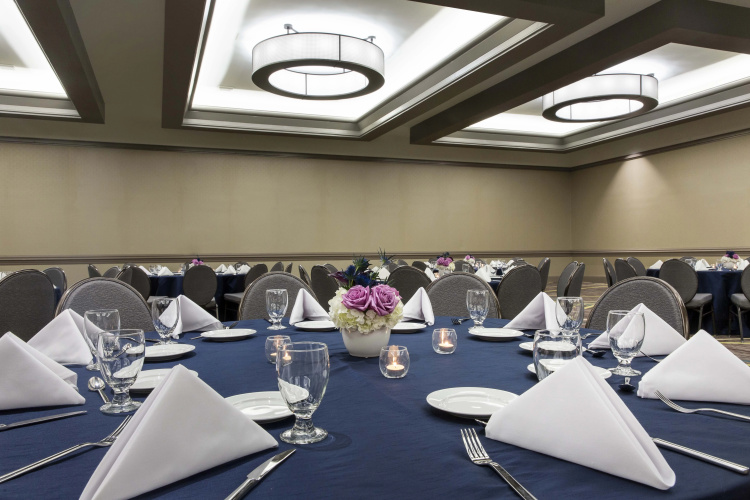 Embassy Suites by Hilton Atlanta Perimeter Center photo 31