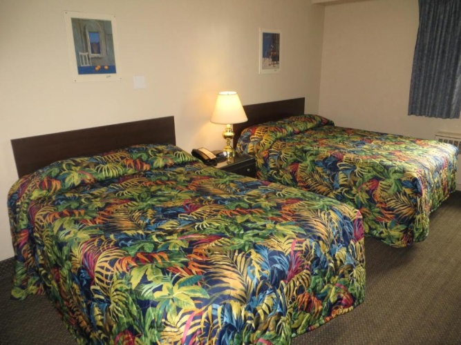 Standard Suite