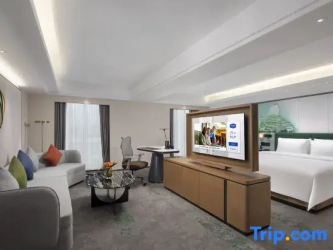 Single Suite