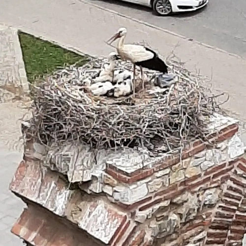 Deluxe Double room with view
