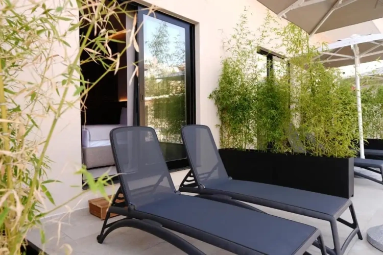 Standard Double room with pool view
