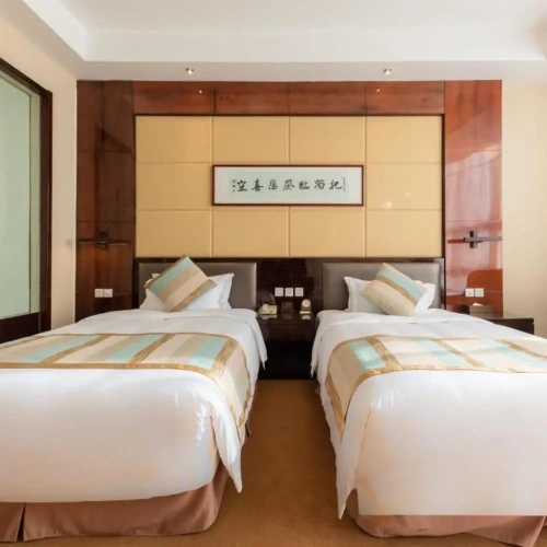 Executive Twin room