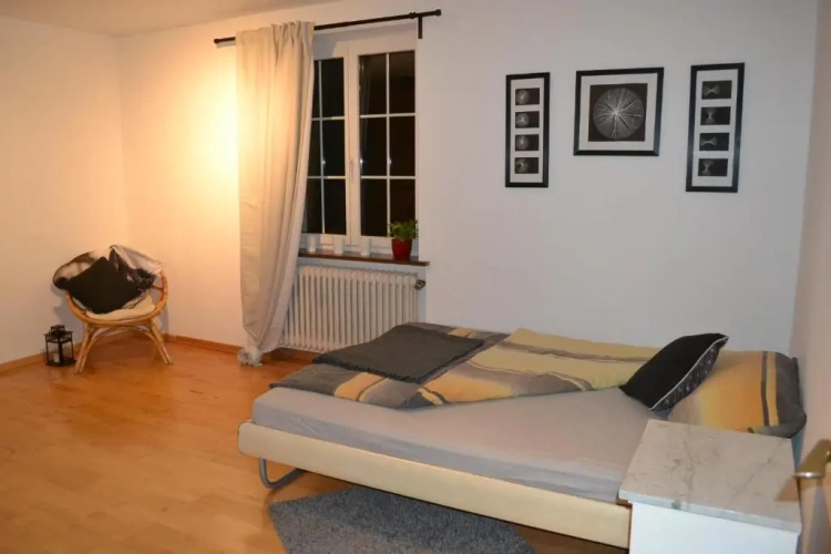 Basement Apartment