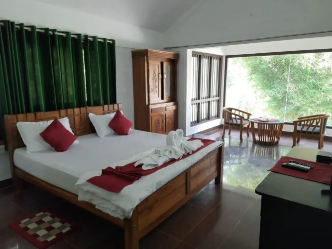 Standard room with mountain view