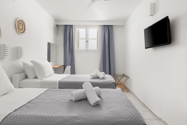 Standard Twin Basement room