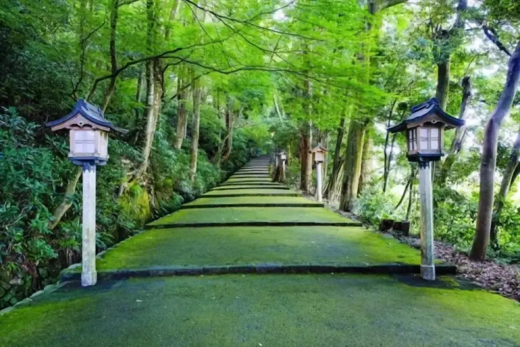WATAYA