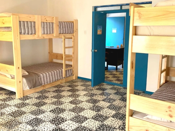 Bed in Dorm