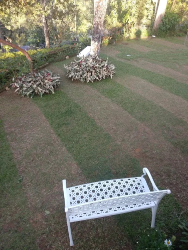 Miselly's Bangalow Hostel