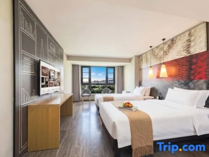 Standard Twin room with city view
