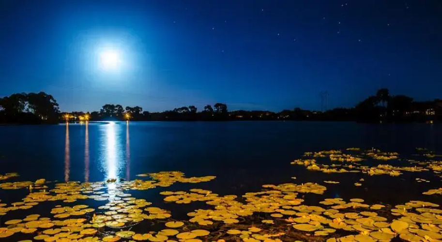 Lake Thomas Villa