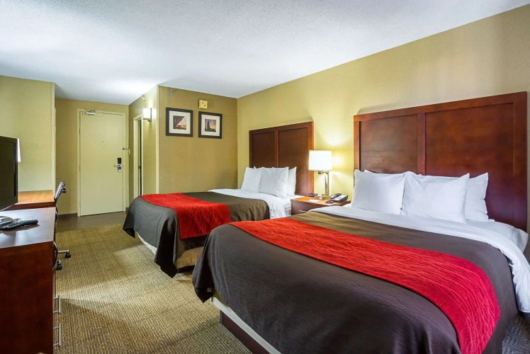 Standard Quadruple room