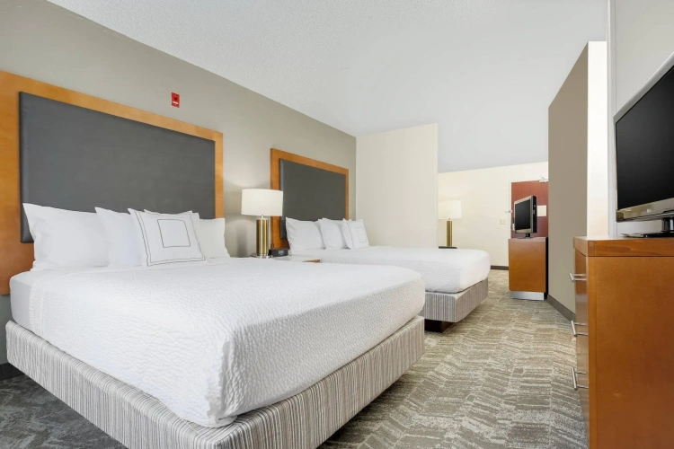 Quadruple Suite