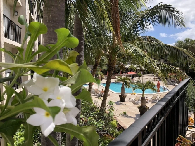 Quadruple Suite with view