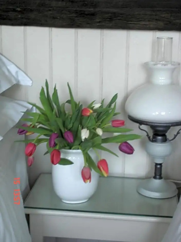 Waterside Cottage Bed and Breakfast