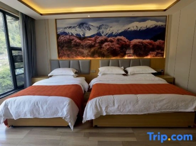 Standard Family room with view