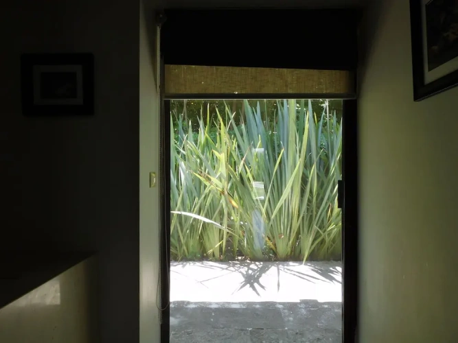 Double Junior Suite