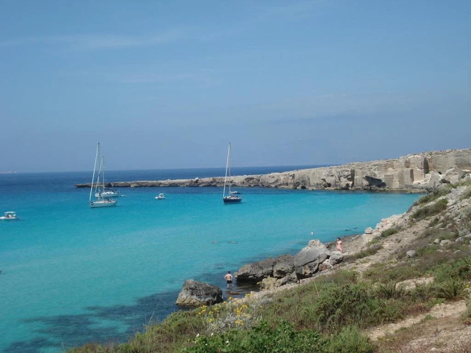 Acqua di Menta