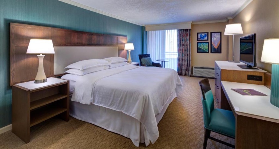 Guest Double room