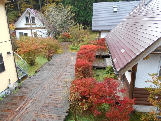 Cottage