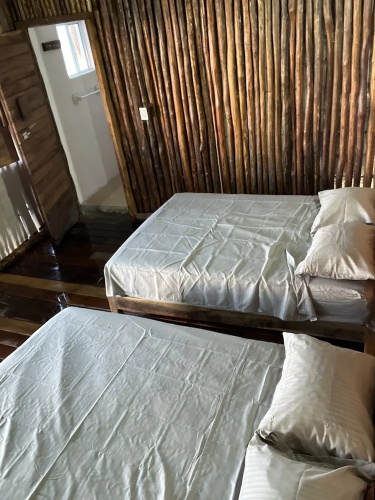 Paraiso Cocoyito Ría