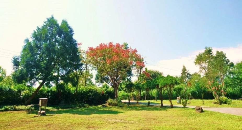 Green Forest Homestay