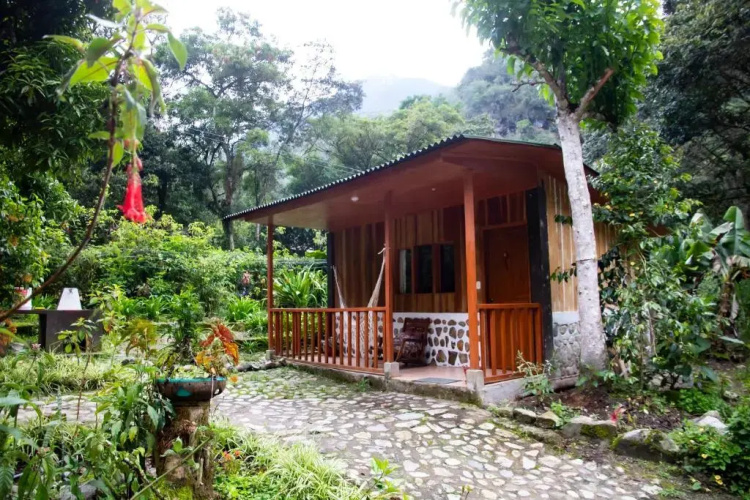 Gea Lodge