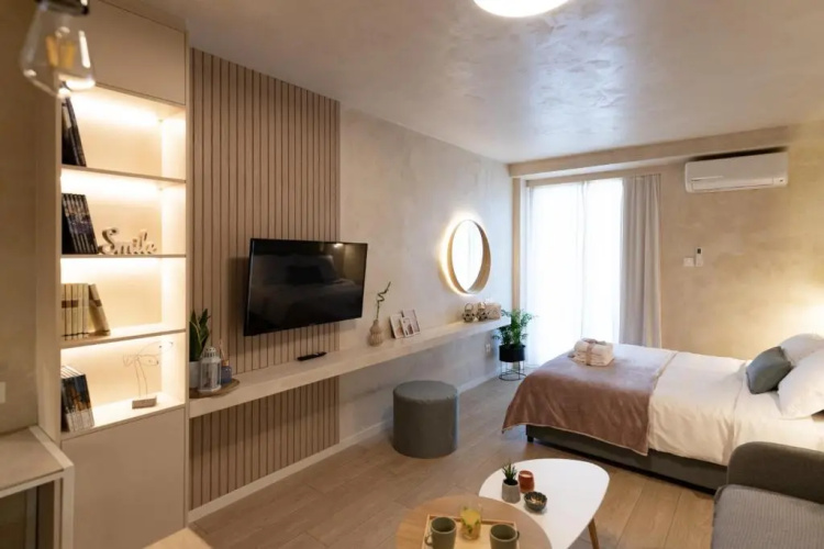 Apo-Zachari elegant apartment