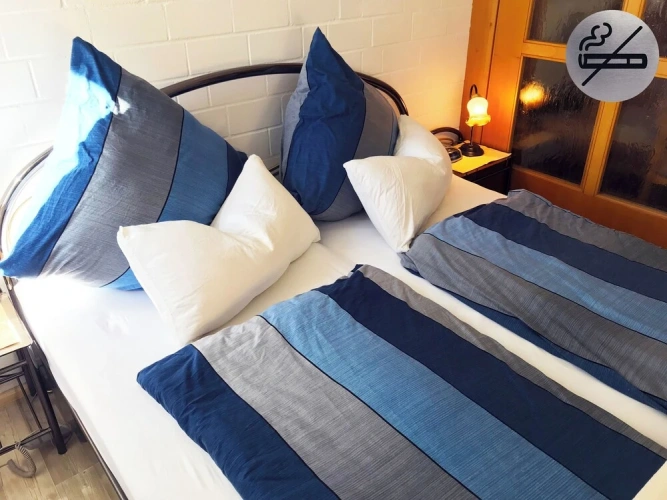 Comfort Basement Studio with balcony and with garden view