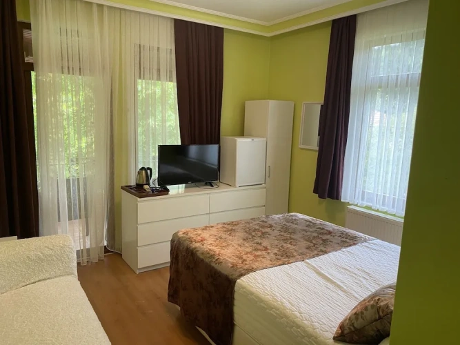 Standard Double room with balcony and with view