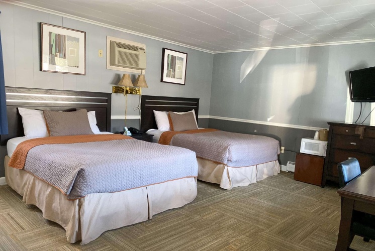 Quadruple Suite
