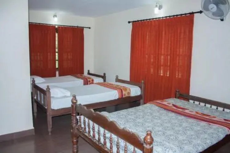 Wayanad Wooden Castle