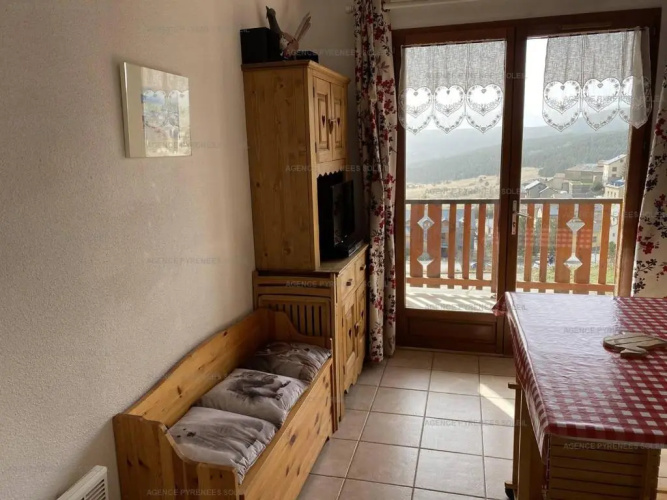 Appartement Les Angles, 2 pièces, 4 personnes - FR-1-295-156