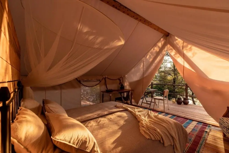 Tent