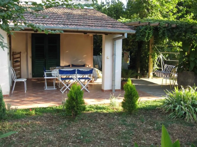 1 Bedroom Comfort Apartment with view