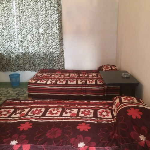 Green House Hostal - Hostel