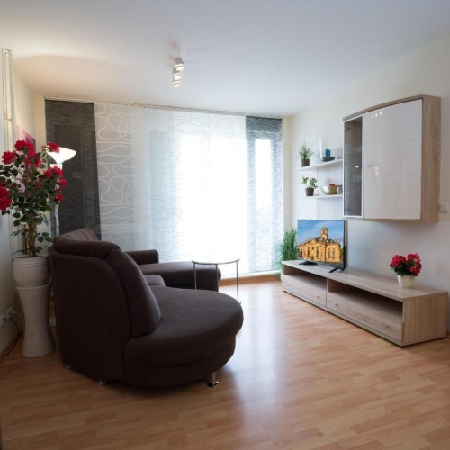 1 Bedroom Apartment