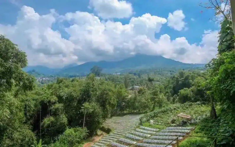 Amerta Giri Hotel Dieng