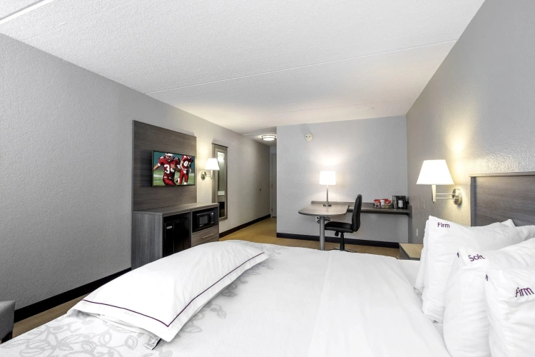 Premium Double room with pool view