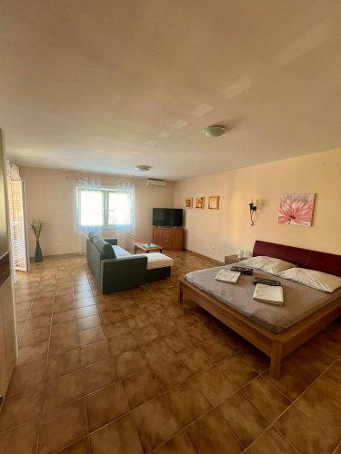 Apartment Babic