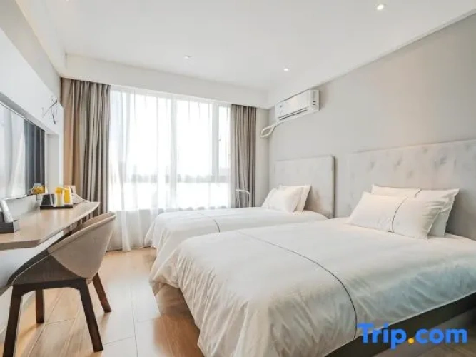 Standard Suite