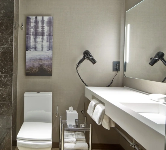 1 Bedroom Suite