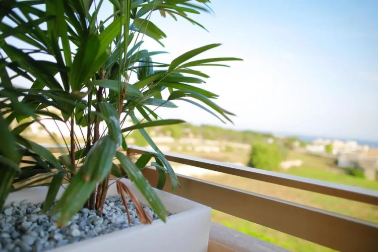Standard Triple room with sea view