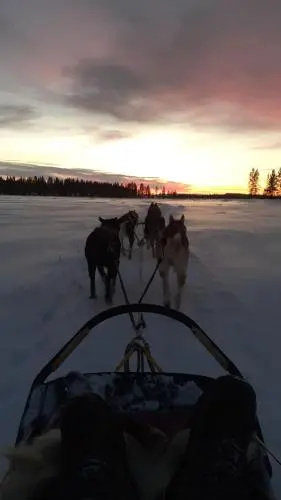 GotoKirkenes