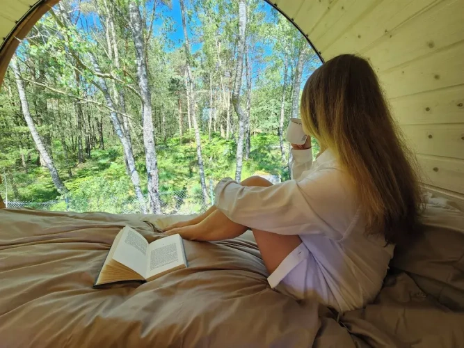 Standard room with park view