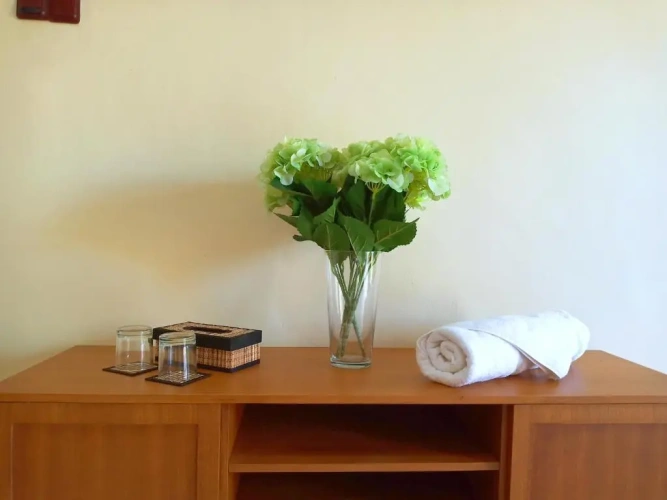 Standard Double room with park view
