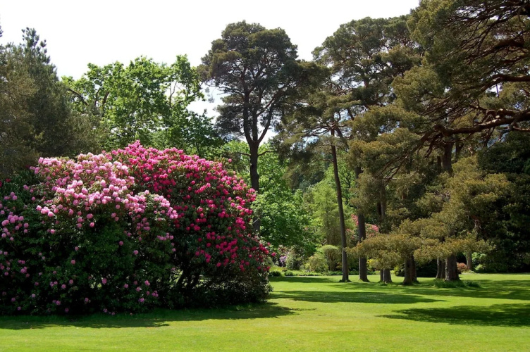 The Grove Lodge