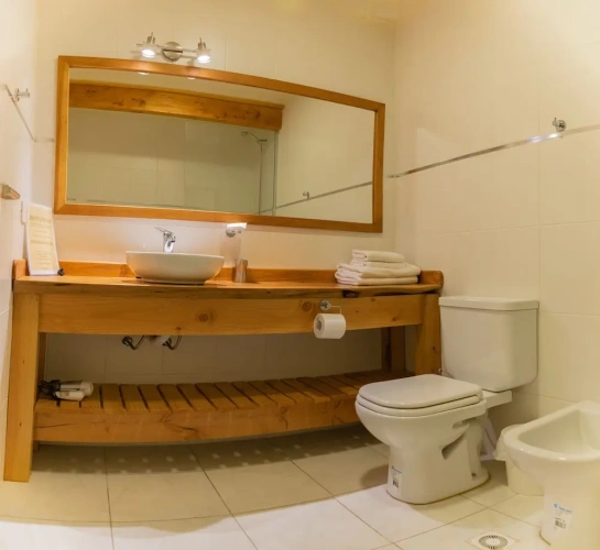Standard Duplex room