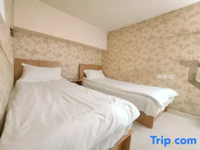 Standard Twin Duplex room